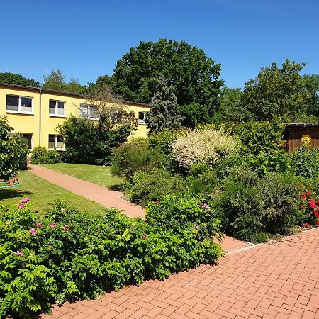 Ferienwohnung Ruegen In Samtens Dış mekan fotoğraf
